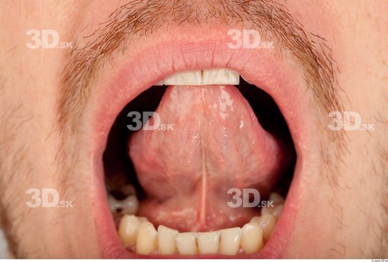 Mouth Whole Body Man Casual Average Studio photo references