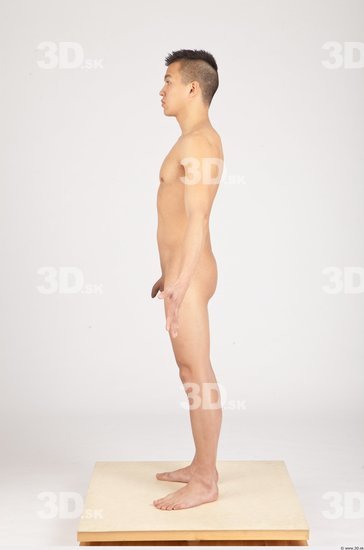 Whole Body Animation references Asian Nude Average Studio photo references