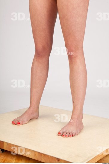 Calf Nude Studio photo references