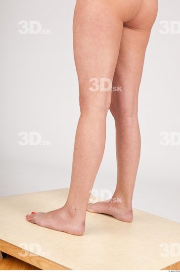 Calf Nude Studio photo references