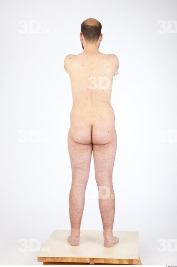 Whole Body Back Animation references Nude Slim Studio photo references