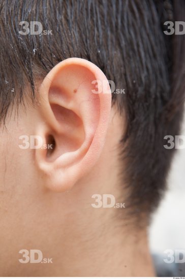 Ear Man White Average