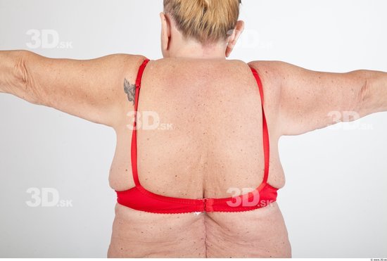 Back Underwear Bra Overweight Studio photo references