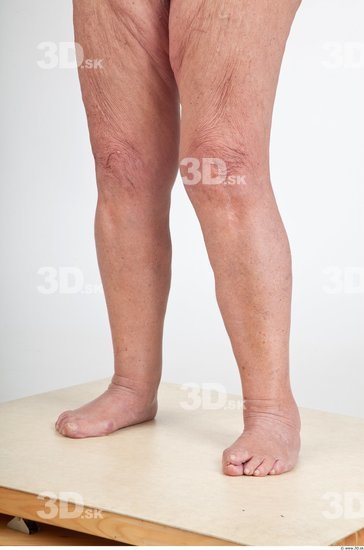 Calf Nude Overweight Studio photo references