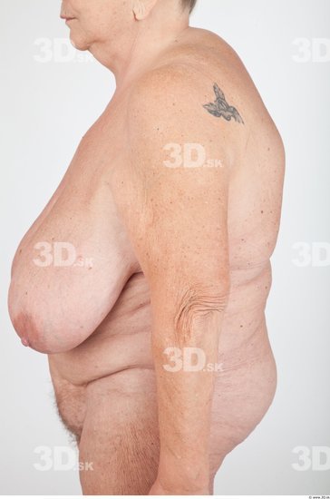 Arm Nude Overweight Wrinkles Studio photo references