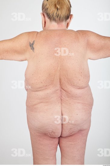 Back Nude Overweight Wrinkles Studio photo references