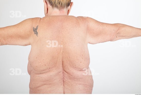 Back Nude Overweight Wrinkles Studio photo references