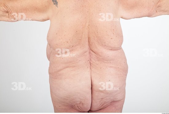 Back Nude Overweight Wrinkles Studio photo references