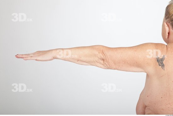 Arm Nude Overweight Wrinkles Studio photo references