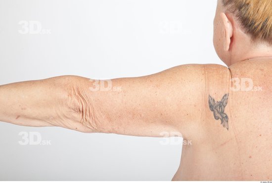 Arm Nude Overweight Wrinkles Studio photo references