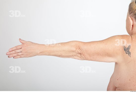 Arm Nude Overweight Wrinkles Studio photo references