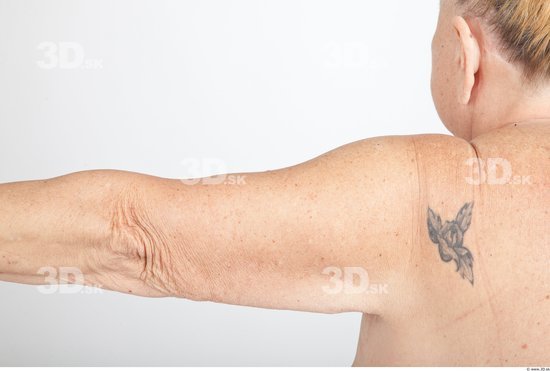 Arm Nude Overweight Wrinkles Studio photo references