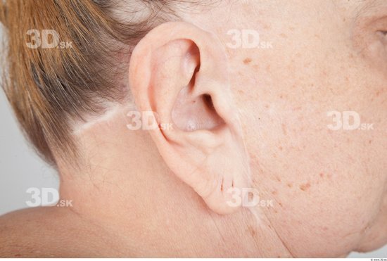 Ear Overweight Wrinkles Studio photo references