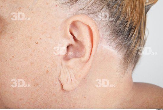 Ear Overweight Wrinkles Studio photo references