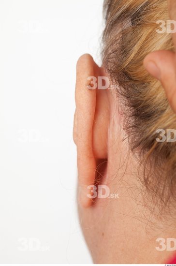 Ear Overweight Wrinkles Studio photo references