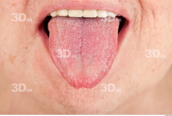 Tongue Overweight Wrinkles Studio photo references