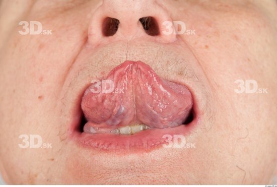 Tongue Overweight Wrinkles Studio photo references