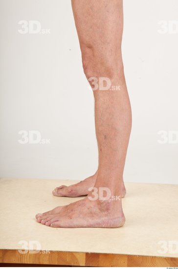 Calf Nude Average Studio photo references