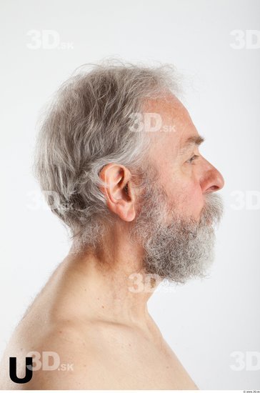 Head Phonemes Man White Average Bearded