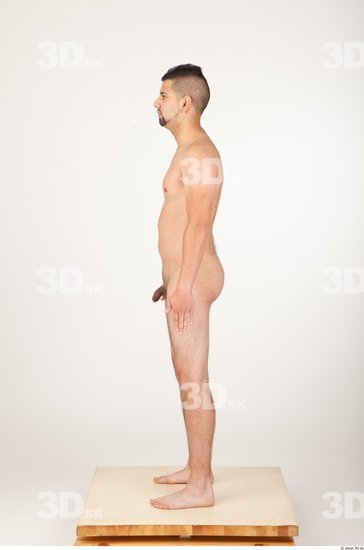 Whole Body Man Animation references Nude Athletic Studio photo references