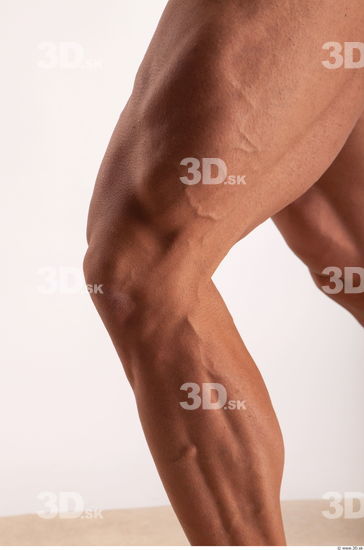 Knee muscles anatomy reference of bodybuilder Harold