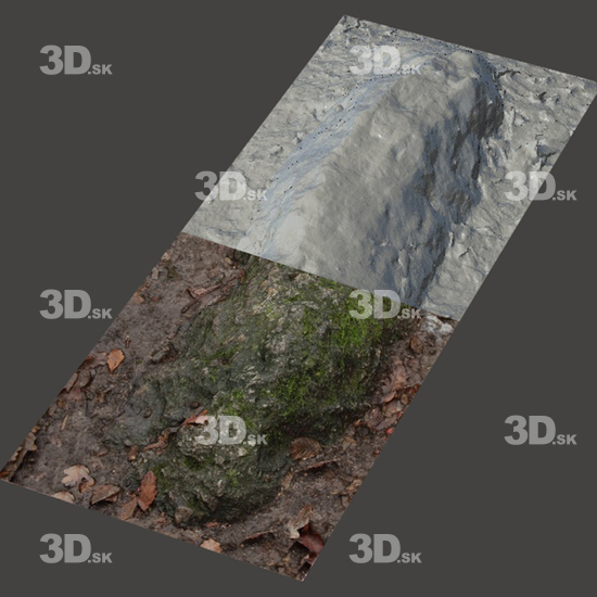 3D Scans