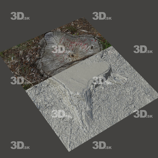 3D Scans