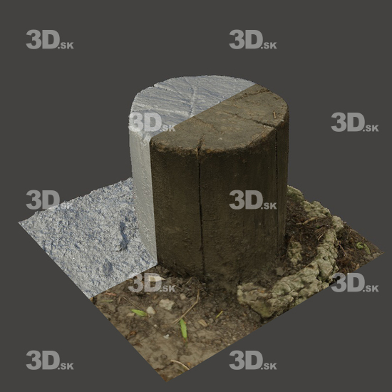 3D Scans