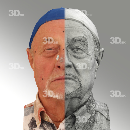 3D Scans