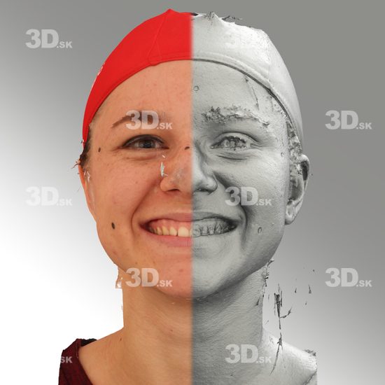 3D Scans