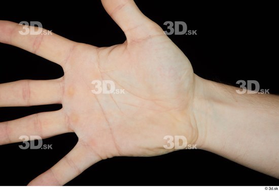 Hand Man White Average Palm Studio photo references
