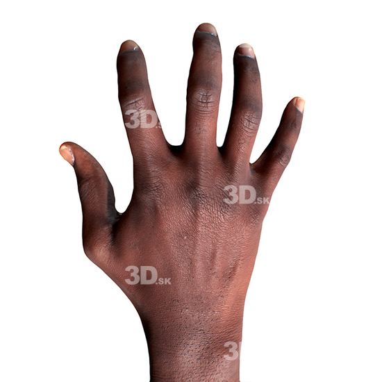 Hand 3D Retopologised Hands