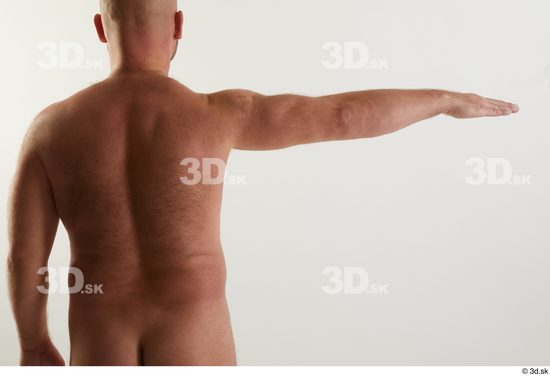 Neeo  arm back view flexing nude  jpg