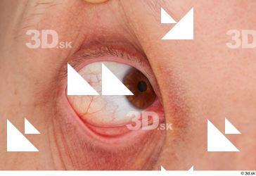 HD Face Skin Agustin Wilkerson eye eye texture iris pupil…