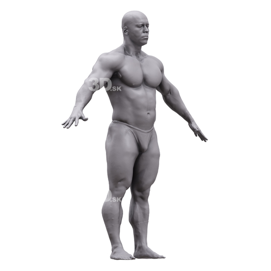 Whole Body Man White 3D Artec Bodies