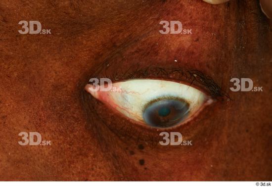 Eye Skin Man Black Slim Studio photo references