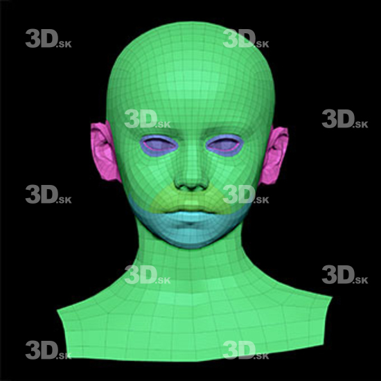 Retopologized 3D Head scan of Doroteya main subdiv