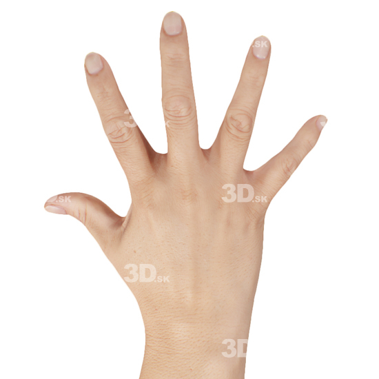 Hand Woman 3D Retopologised Hands Hispanic