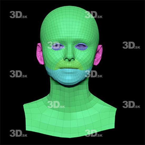 Retopologized 3D Head scan of Lenny main subdiv