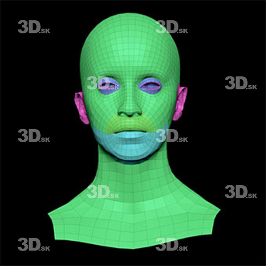 Retopologized 3D Head scan of Paulina Nores main subdiv