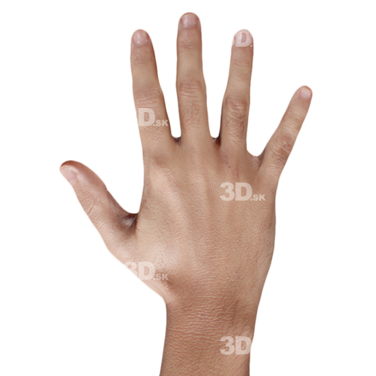 Hand Man 3D Retopologised Hands Hispanic