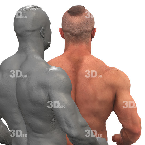 Upper Body Man White Underwear 3D Phonemes And Emotions