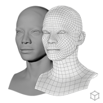 RETOPO Head Scans Lite