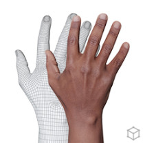 RETOPO HAND SCANS