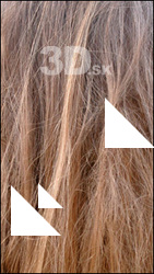 Hairs II