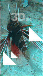 Fish # 5