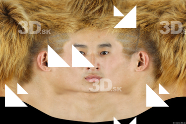 Female head texture