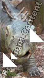 Stegosaurus