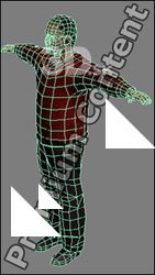3D Model Asian Man # 10