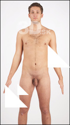 Rehor